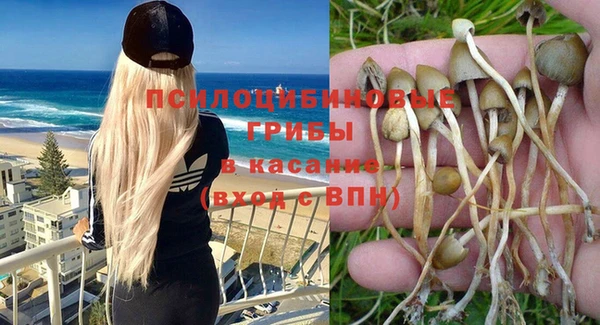 ешки Куйбышев