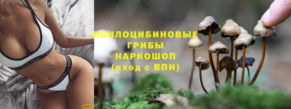 мдпв Калининец