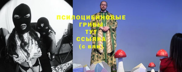 дживик Кулебаки