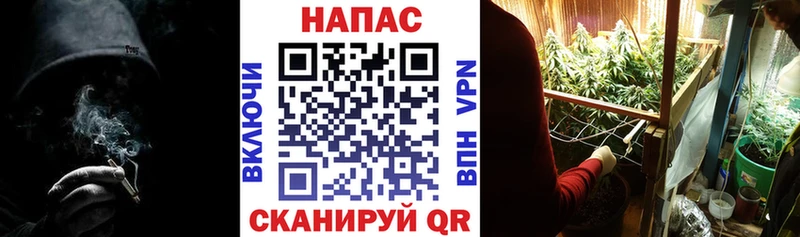 Бошки марихуана семена  Тотьма 